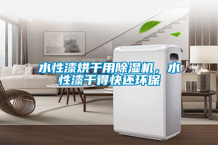 国产精品探花在线观看 水性漆烘干用除湿机，水性漆干得快还环保