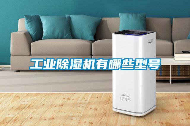 国产精品三级在线观看 工业除湿机有哪些型号