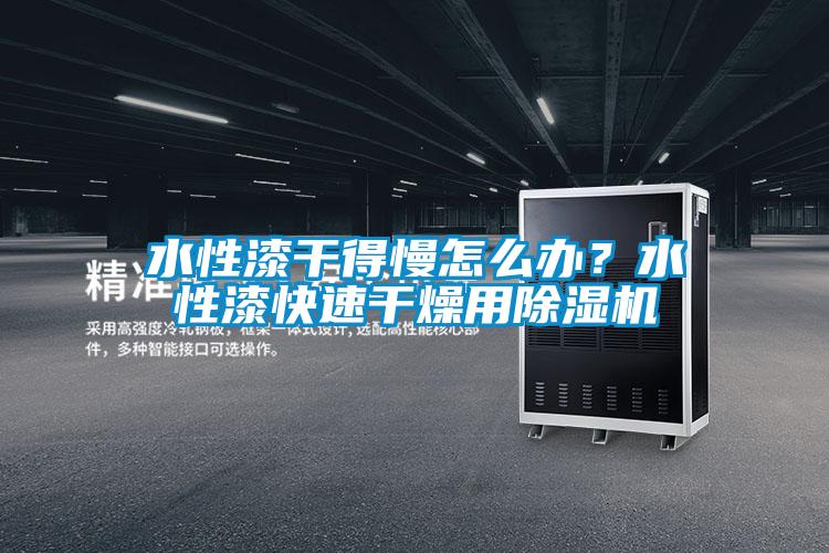 国产精品欧美激情视频 水性漆干得慢怎么办？水性漆快速干燥用除湿机
