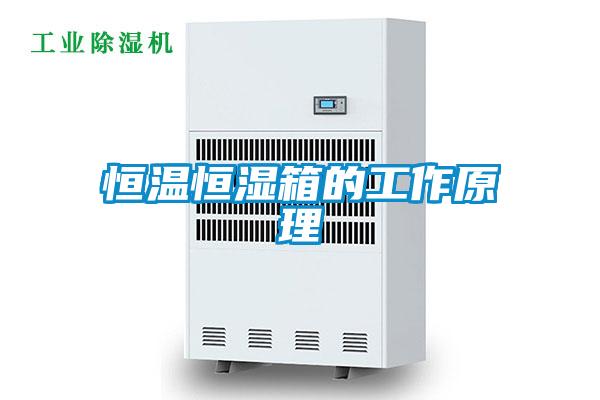 国产精品探花在线观看 恒温恒湿箱的工作原理