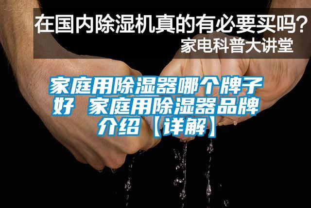 国产精品欧美激情视频 家庭用除湿器哪个牌子好 家庭用除湿器品牌介绍【详解】