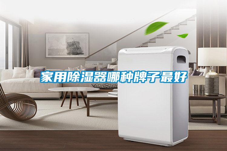 国产精品三级在线观看 家用除湿器哪种牌子最好