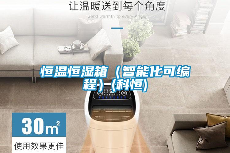 国产精品欧美激情视频 恒温恒湿箱（智能化可编程）(科恒)