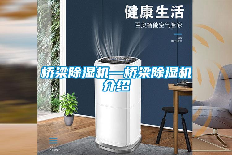 国产精品欧美激情视频 桥梁除湿机—桥梁除湿机介绍