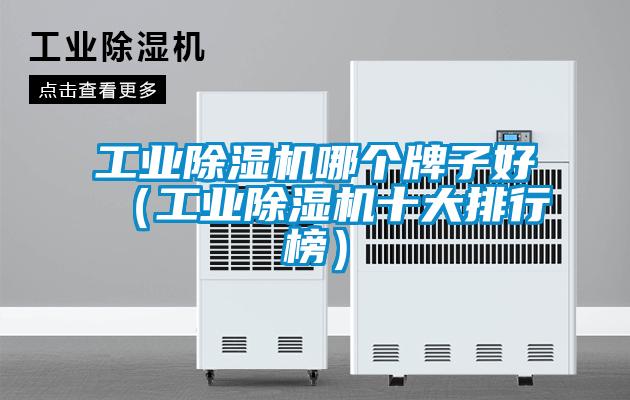国产精品欧美激情视频 工业除湿机哪个牌子好（工业除湿机十大排行榜）