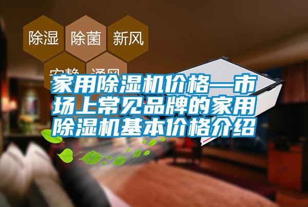 国产精品探花在线观看 家用除湿机价格—市场上常见品牌的家用除湿机基本价格介绍
