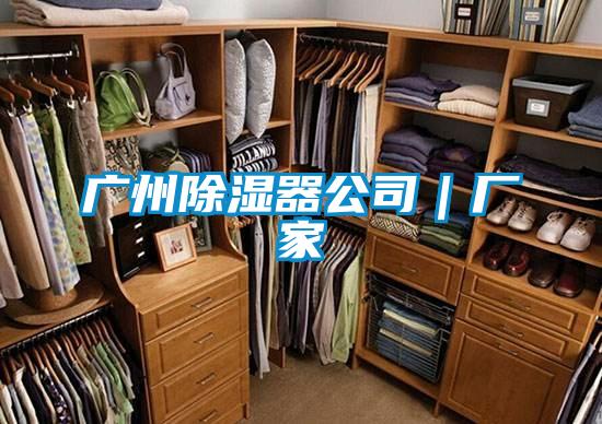 国产精品三级在线观看 广州除湿器公司｜厂家