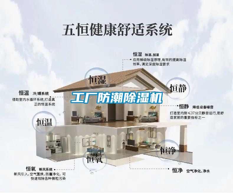 国产精品探花在线观看 工厂防潮除湿机