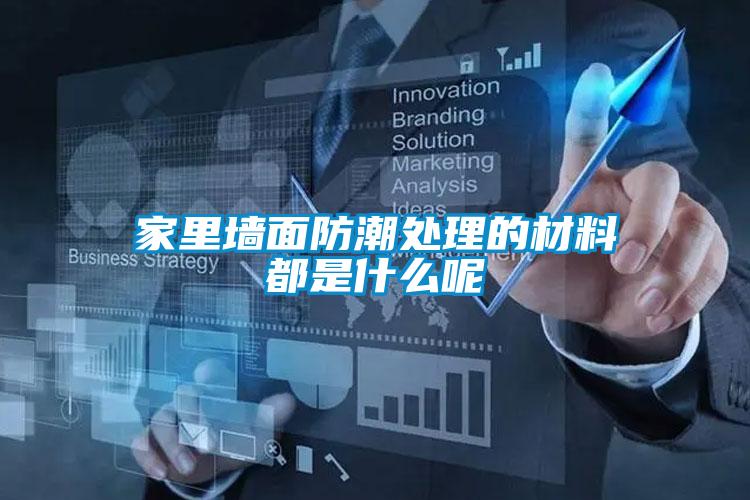 国产精品三级在线观看 家里墙面防潮处理的材料都是什么呢