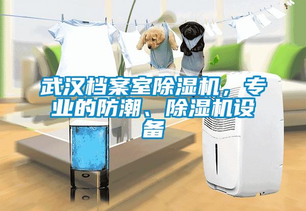 国产精品欧美激情视频 武汉档案室除湿机，专业的防潮、除湿机设备