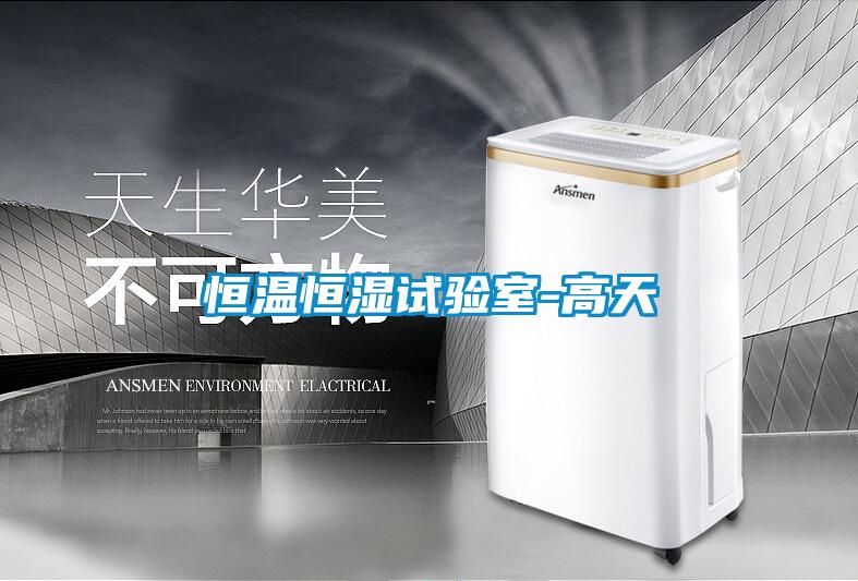 国产精品三级在线观看 恒温恒湿试验室-高天
