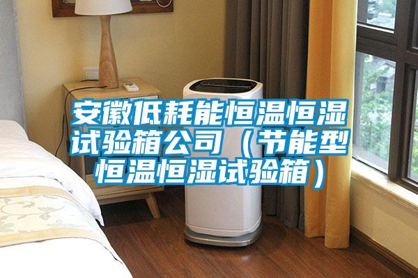 国产精品三级在线观看 安徽低耗能恒温恒湿试验箱公司（节能型恒温恒湿试验箱）