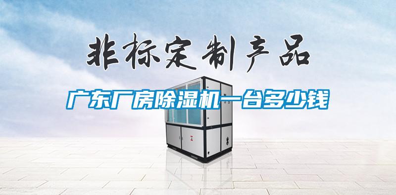国产精品欧美激情视频 广东厂房除湿机一台多少钱