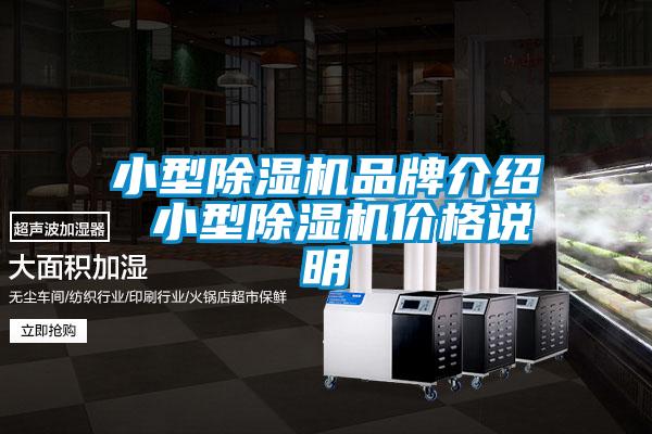 国产精品欧美激情视频 小型除湿机品牌介绍 小型除湿机价格说明