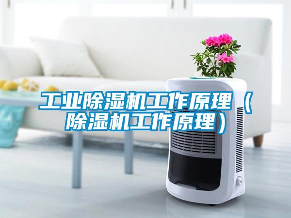国产精品三级在线观看 工业除湿机工作原理（除湿机工作原理）