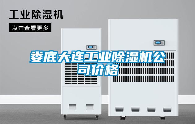 国产精品欧美激情视频 娄底大连工业除湿机公司价格