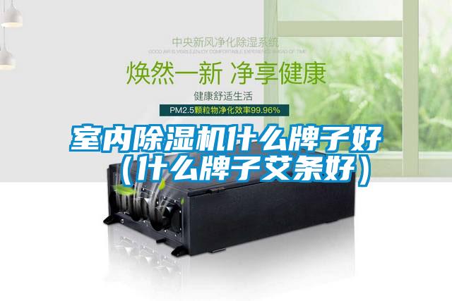 国产精品探花在线观看 室内除湿机什么牌子好（什么牌子艾条好）
