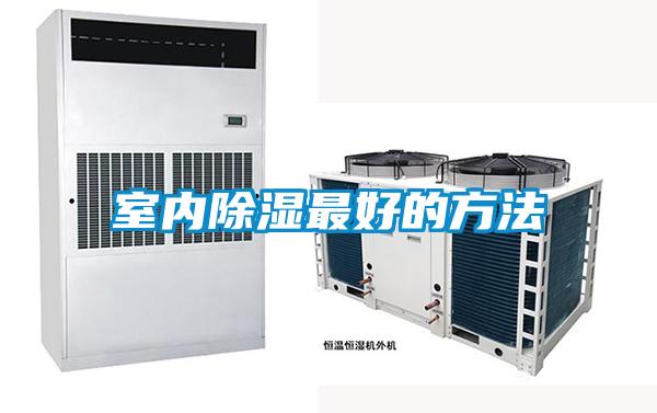 国产精品三级在线观看 室内除湿最好的方法
