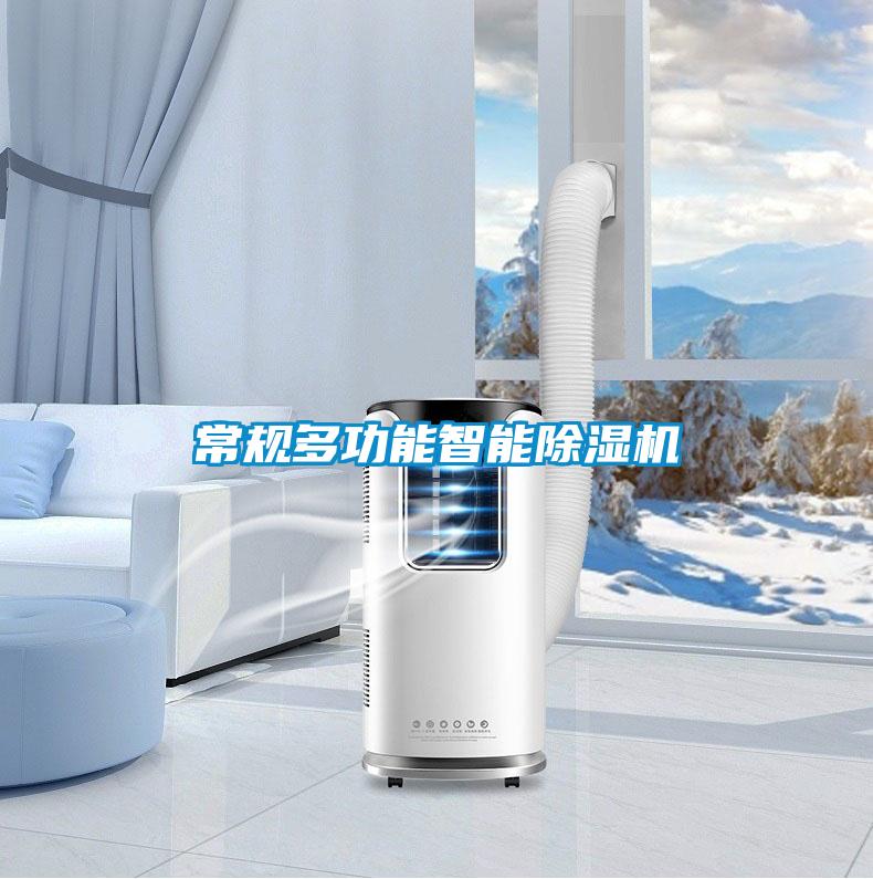 国产精品欧美激情视频 常规多功能智能除湿机