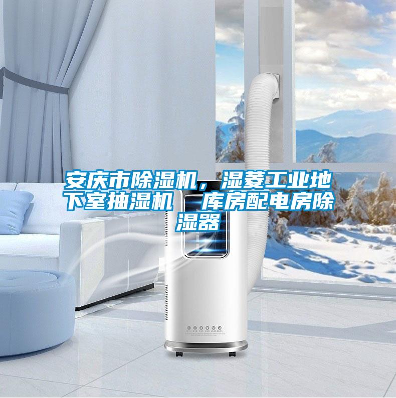 国产精品三级在线观看 安庆市除湿机，湿菱工业地下室抽湿机  库房配电房除湿器