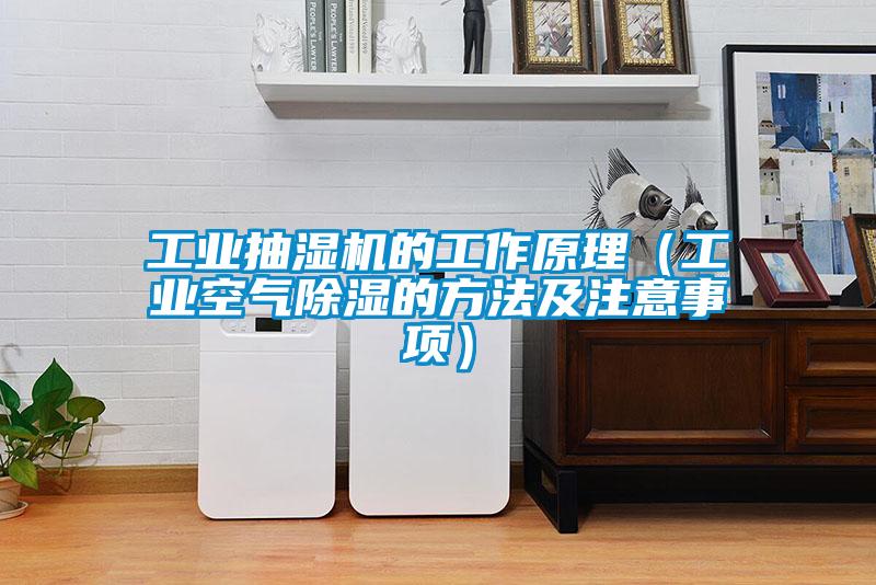 国产精品探花在线观看 工业抽湿机的工作原理（工业空气除湿的方法及注意事项）