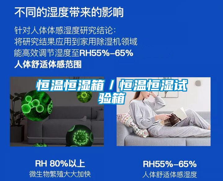 国产精品探花在线观看 恒温恒湿箱／恒温恒湿试验箱