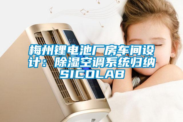 国产精品欧美激情视频 梅州锂电池厂房车间设计：除湿空调系统归纳SICOLAB