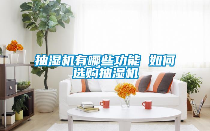 国产精品三级在线观看 抽湿机有哪些功能 如何选购抽湿机