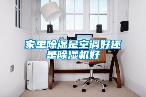 国产精品探花在线观看 家里除湿是空调好还是除湿机好