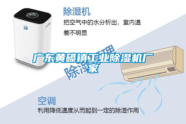 国产精品探花在线观看 广东黄礤镇工业除湿机厂家