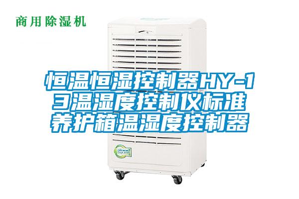 国产精品三级在线观看 恒温恒湿控制器HY-13温湿度控制仪标准养护箱温湿度控制器