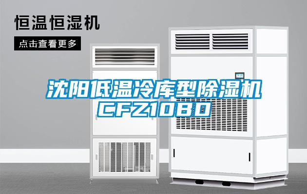 国产精品三级在线观看 沈阳低温冷库型除湿机CFZ10BD