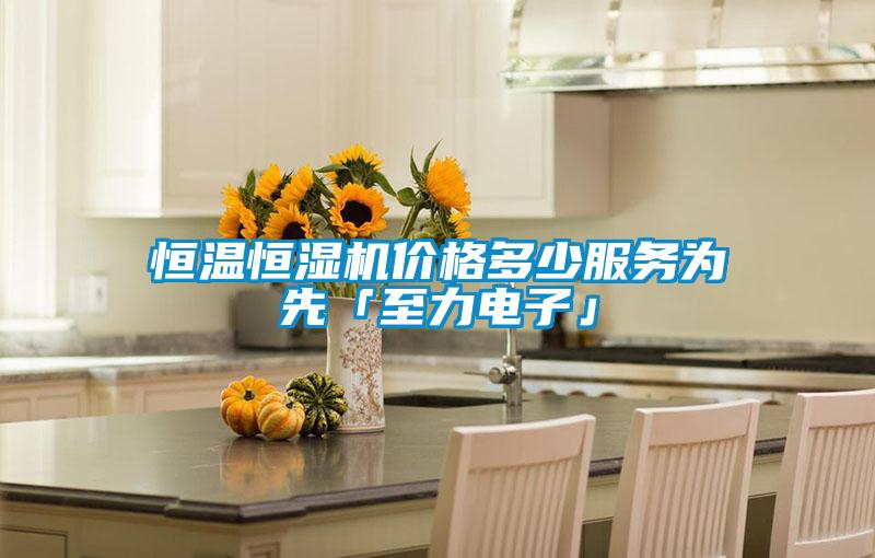 国产精品三级在线观看 恒温恒湿机价格多少服务为先「至力电子」