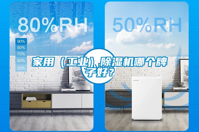 国产精品三级在线观看 家用（工业）除湿机哪个牌子好？