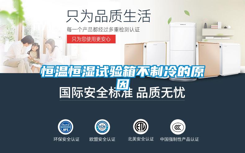 国产精品三级在线观看 恒温恒湿试验箱不制冷的原因