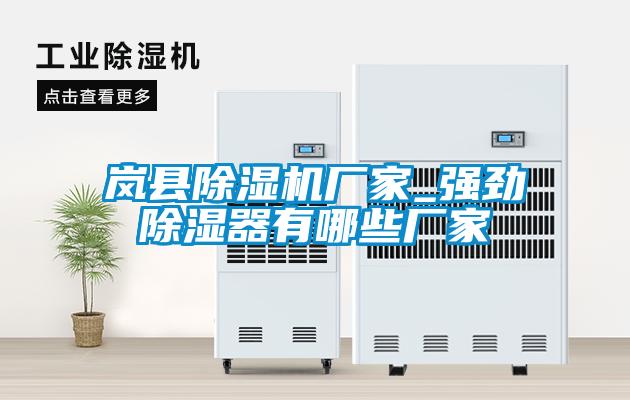 国产精品欧美激情视频 岚县除湿机厂家_强劲除湿器有哪些厂家