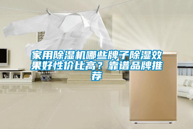 国产精品三级在线观看 家用除湿机哪些牌子除湿效果好性价比高？靠谱品牌推荐