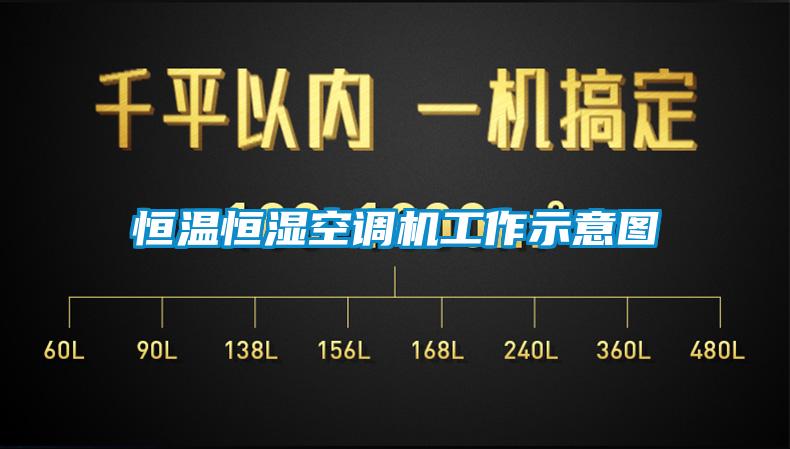 国产精品探花在线观看 恒温恒湿空调机工作示意图