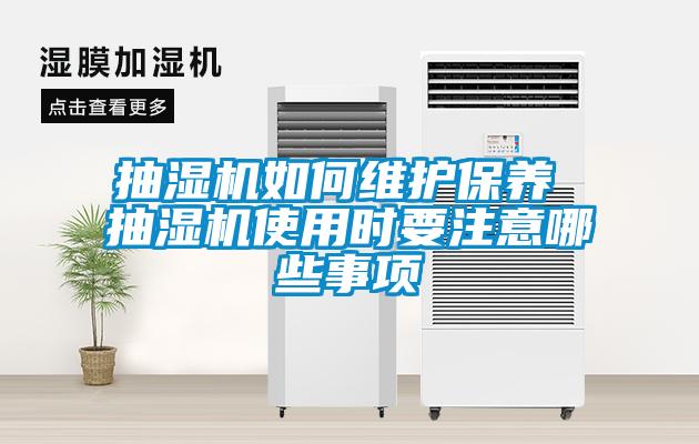 国产精品欧美激情视频 抽湿机如何维护保养 抽湿机使用时要注意哪些事项
