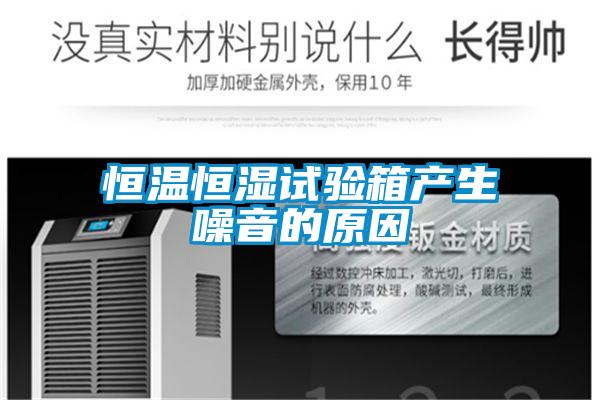 国产精品欧美激情视频 恒温恒湿试验箱产生噪音的原因