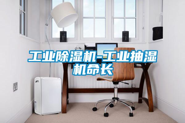 国产精品三级在线观看 工业除湿机-工业抽湿机命长