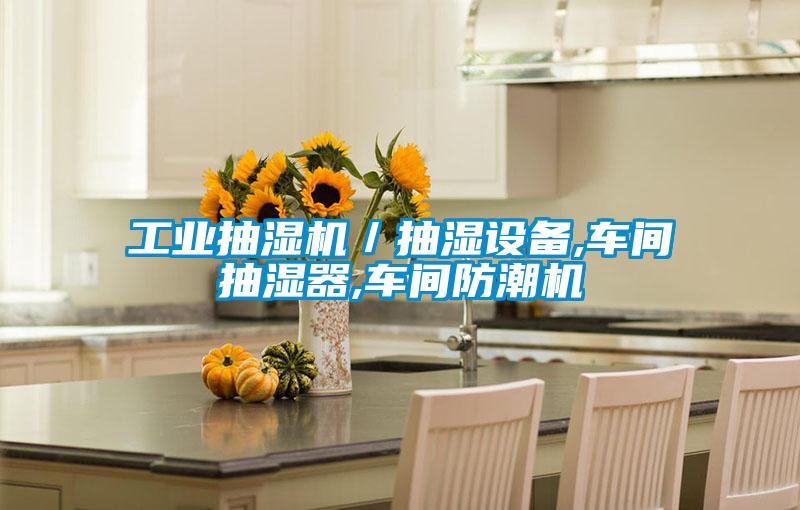 国产精品欧美激情视频 工业抽湿机／抽湿设备,车间抽湿器,车间防潮机