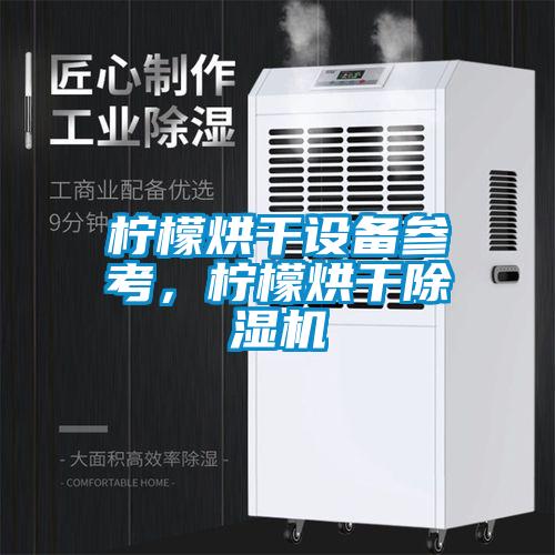 国产精品三级在线观看 柠檬烘干设备参考，柠檬烘干除湿机