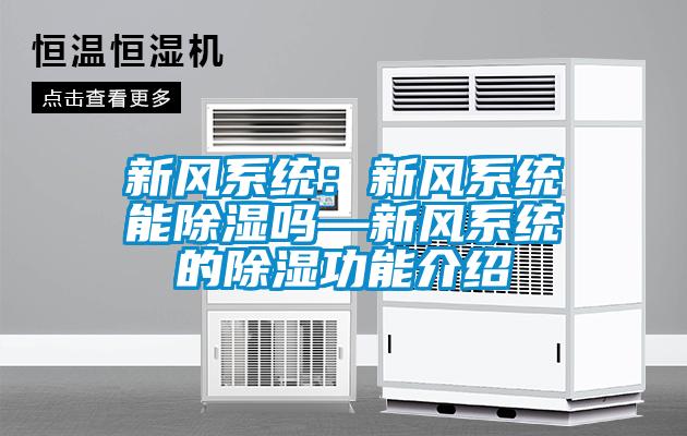 国产精品三级在线观看 新风系统：新风系统能除湿吗—新风系统的除湿功能介绍