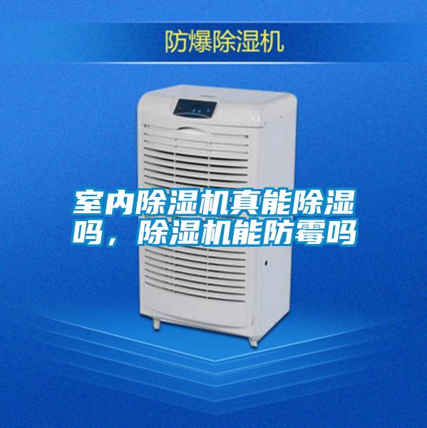 国产精品欧美激情视频 室内除湿机真能除湿吗，除湿机能防霉吗