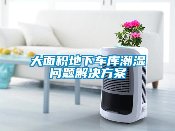 国产精品欧美激情视频 大面积地下车库潮湿问题解决方案