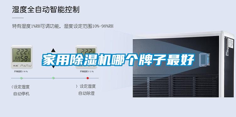 国产精品三级在线观看 家用除湿机哪个牌子最好
