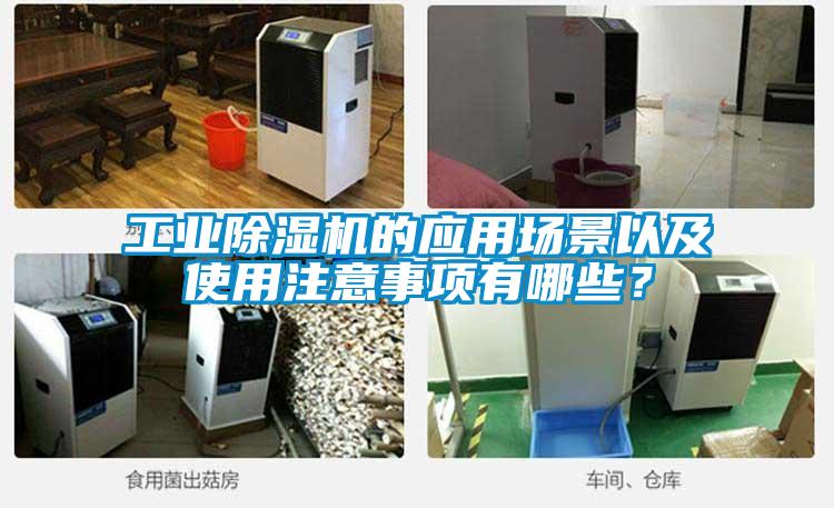 国产精品三级在线观看 工业除湿机的应用场景以及使用注意事项有哪些？