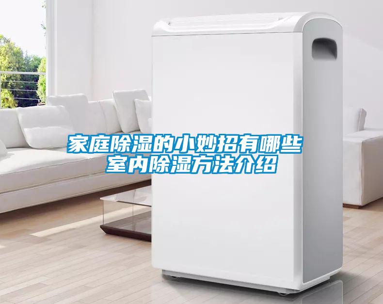 国产精品探花在线观看 家庭除湿的小妙招有哪些 室内除湿方法介绍