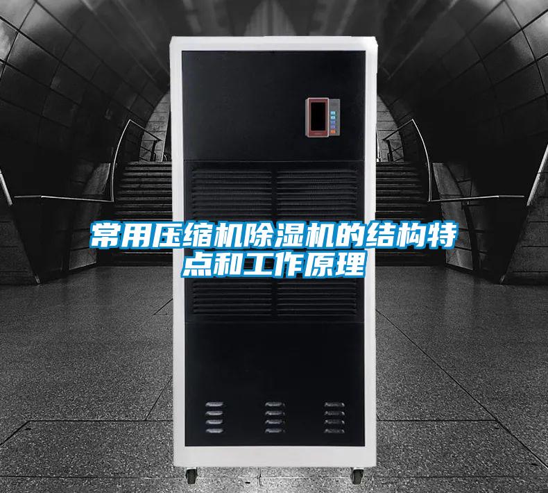国产精品欧美激情视频 常用压缩机除湿机的结构特点和工作原理